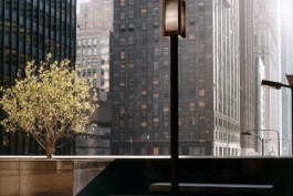 HARTMUT NÄGELE
THE PICTURE TELLS THE STORY