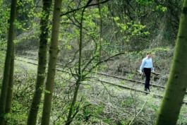 HARTMUT NÄGELE
THE PICTURE TELLS THE STORY