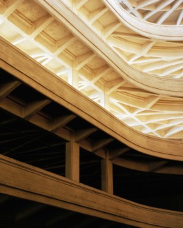 HARTMUT NÄGELE
THE PICTURE TELLS THE STORY