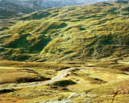 HARTMUT NÄGELE
THE PICTURE TELLS THE STORY