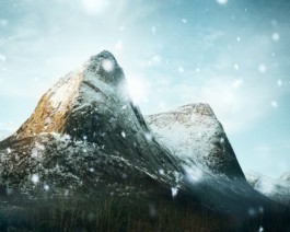 HARTMUT NÄGELE
THE PICTURE TELLS THE STORY