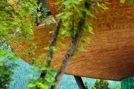 HARTMUT NÄGELE
THE PICTURE TELLS THE STORY