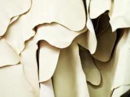 HARTMUT NÄGELE
THE PICTURE TELLS THE STORY