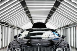 HARTMUT NÄGELE
THE PICTURE TELLS THE STORY