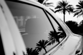 HARTMUT NÄGELE
THE PICTURE TELLS THE STORY