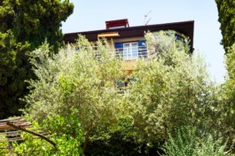 HARTMUT NÄGELE
THE PICTURE TELLS THE STORY