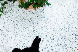 HARTMUT NÄGELE
THE PICTURE TELLS THE STORY