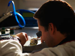 HARTMUT NÄGELE
THE PICTURE TELLS THE STORY