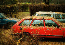 HARTMUT NÄGELE
THE PICTURE TELLS THE STORY