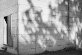 HARTMUT NÄGELE
THE PICTURE TELLS THE STORY