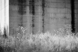 HARTMUT NÄGELE
THE PICTURE TELLS THE STORY