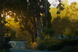 HARTMUT NÄGELE
THE PICTURE TELLS THE STORY