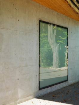 HARTMUT NÄGELE
THE PICTURE TELLS THE STORY