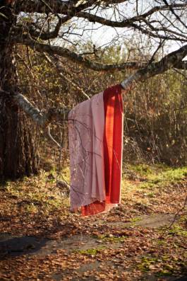 HARTMUT NÄGELE
THE PICTURE TELLS THE STORY