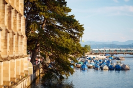 HARTMUT NÄGELE
THE PICTURE TELLS THE STORY