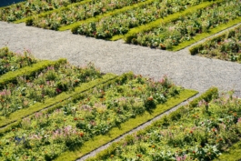 HARTMUT NÄGELE
THE PICTURE TELLS THE STORY