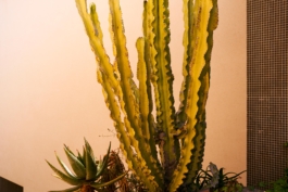 HARTMUT NÄGELE · PHOTOGRAPHY