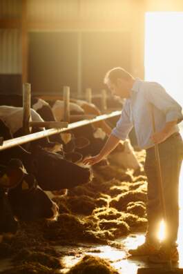 HARTMUT NÄGELE · PHOTOGRAPHY