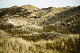 HARTMUT NÄGELE · PHOTOGRAPHY