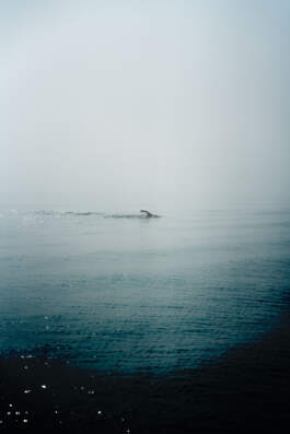 HARTMUT NÄGELE · PHOTOGRAPHY