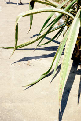 HARTMUT NÄGELE · PHOTOGRAPHY