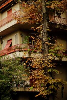 HARTMUT NÄGELE · PHOTOGRAPHY