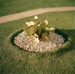 HARTMUT NÄGELE · PHOTOGRAPHY