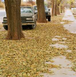 HARTMUT NÄGELE · PHOTOGRAPHY