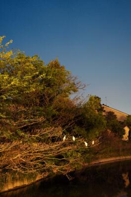 HARTMUT NÄGELE · PHOTOGRAPHY