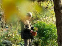 HARTMUT NÄGELE · PHOTOGRAPHY