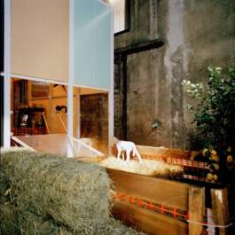 HARTMUT NÄGELE · PHOTOGRAPHY