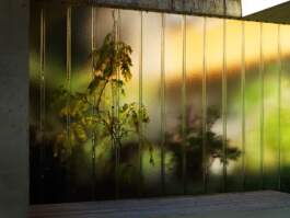 HARTMUT NÄGELE · PHOTOGRAPHY