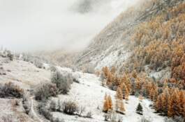 HARTMUT NÄGELE · PHOTOGRAPHY