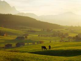 HARTMUT NÄGELE · PHOTOGRAPHY