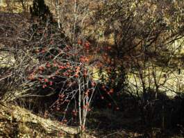 HARTMUT NÄGELE · PHOTOGRAPHY