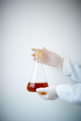 HARTMUT NÄGELE · PHOTOGRAPHY