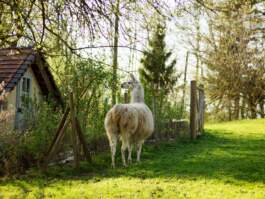 HARTMUT NÄGELE · PHOTOGRAPHY