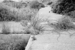 HARTMUT NÄGELE · PHOTOGRAPHY