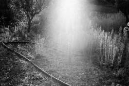 HARTMUT NÄGELE · PHOTOGRAPHY