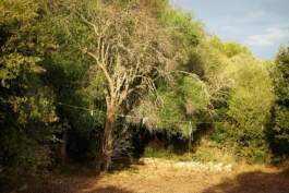 HARTMUT NÄGELE · PHOTOGRAPHY