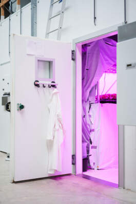 HARTMUT NÄGELE · PHOTOGRAPHY