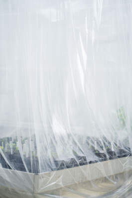 HARTMUT NÄGELE · PHOTOGRAPHY