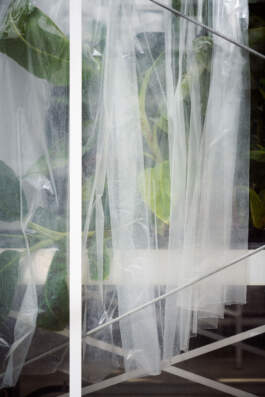 HARTMUT NÄGELE · PHOTOGRAPHY