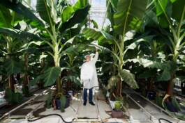 HARTMUT NÄGELE · PHOTOGRAPHY